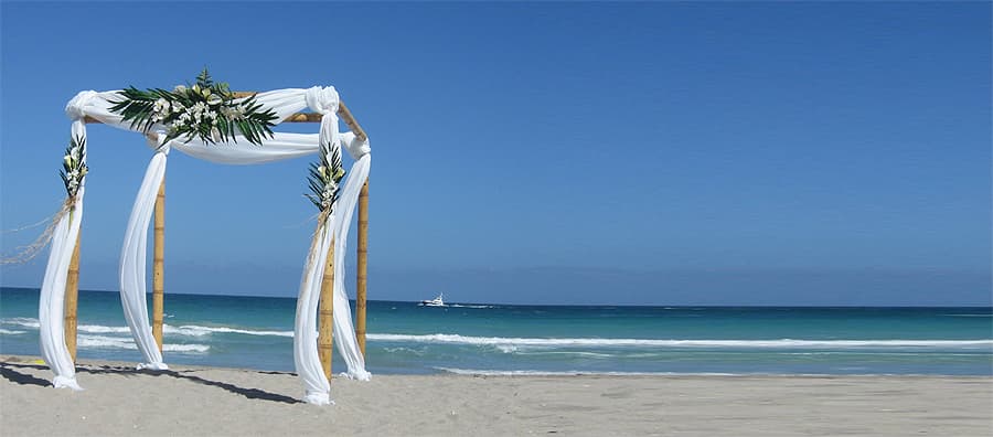 Solea Events — wedding planner in Miami