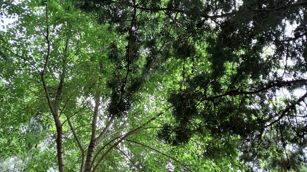 Bosco Felice — destination wedding venue in 95024 Pennisi CT, Italy