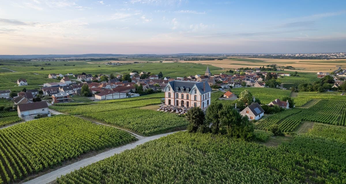 Château de Sacy: destination wedding venue in 51500 Sacy, France