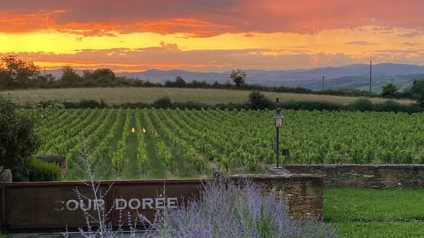 COUR DOREE: destination wedding venue in 69380 Charnay, France