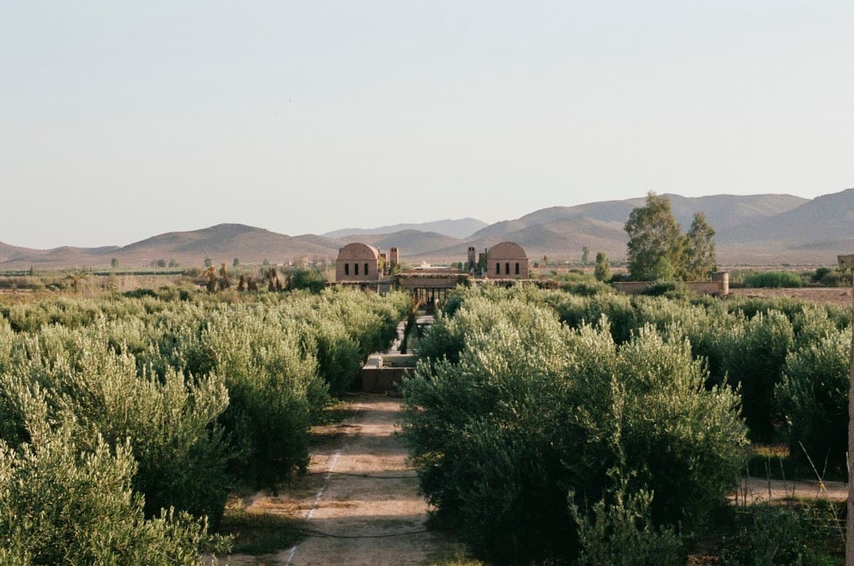 Farasha Farmhouse: destination wedding venue in Marrakech, Morocco