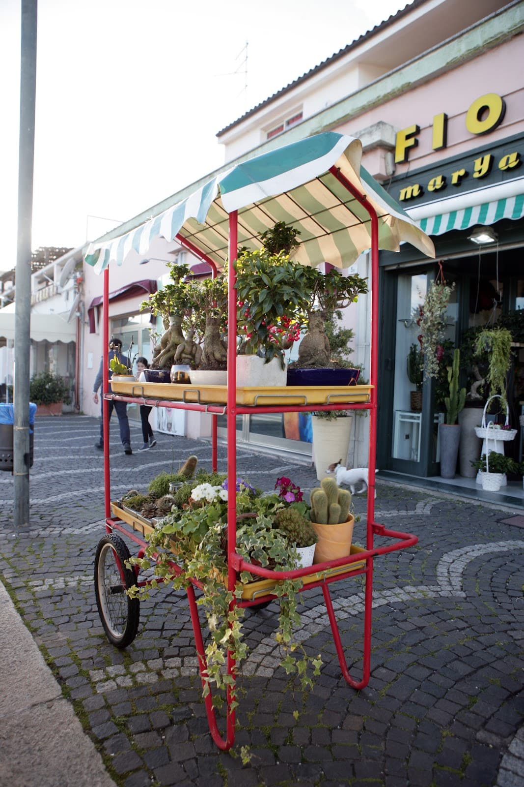 Fiorista Maryann — destination wedding venue in 07026 Olbia OT, Italy