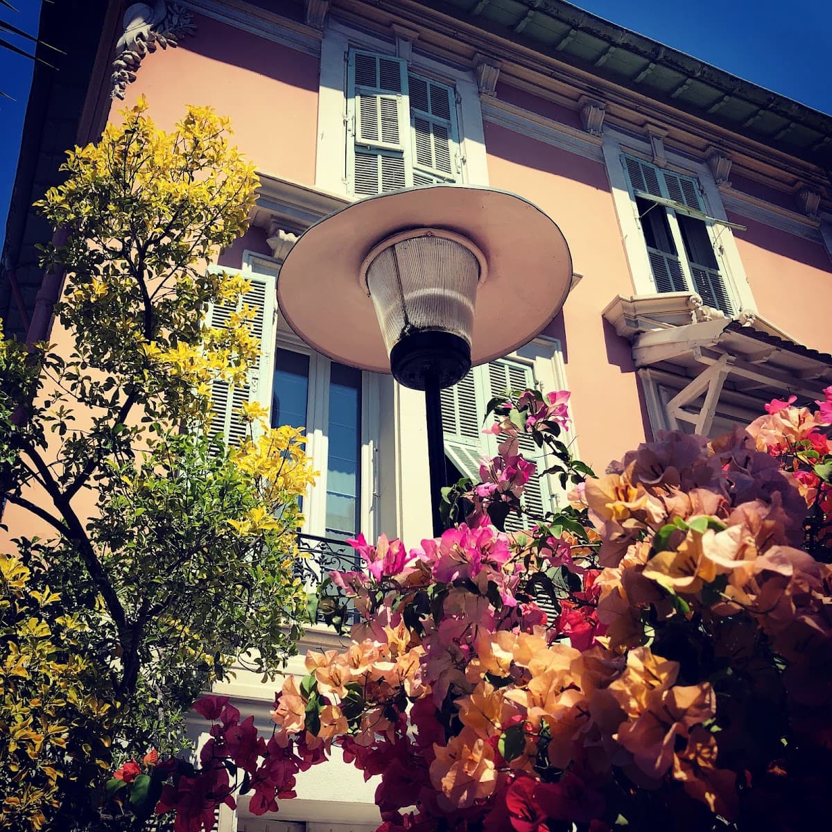 Hôtel Villa Rose: destination wedding venue in 06100 Nice, France