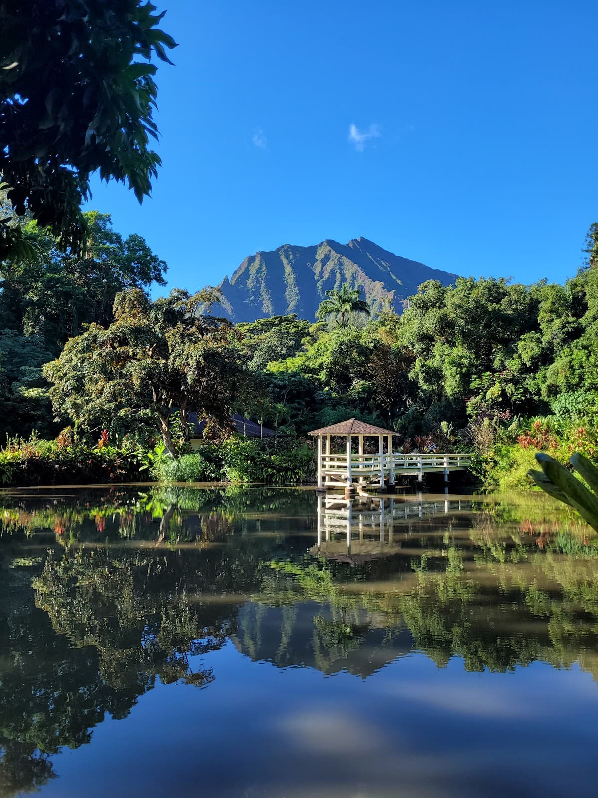 Haiku Gardens Weddings: destination wedding venue in HI 96744, USA