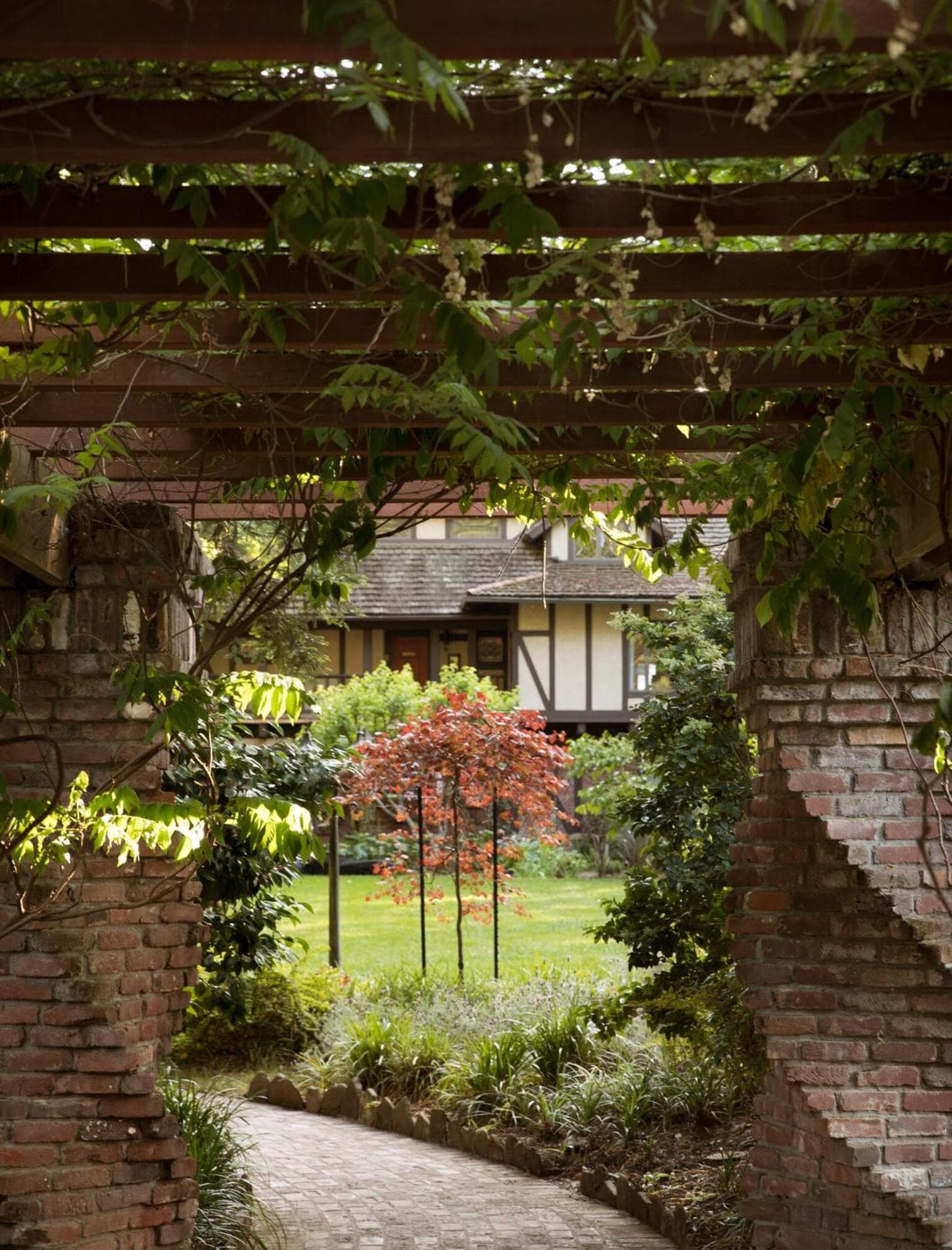 A curved brick walkway seen through a vine-draped wooden pergola leads past foliage toward a Tudor cottage.