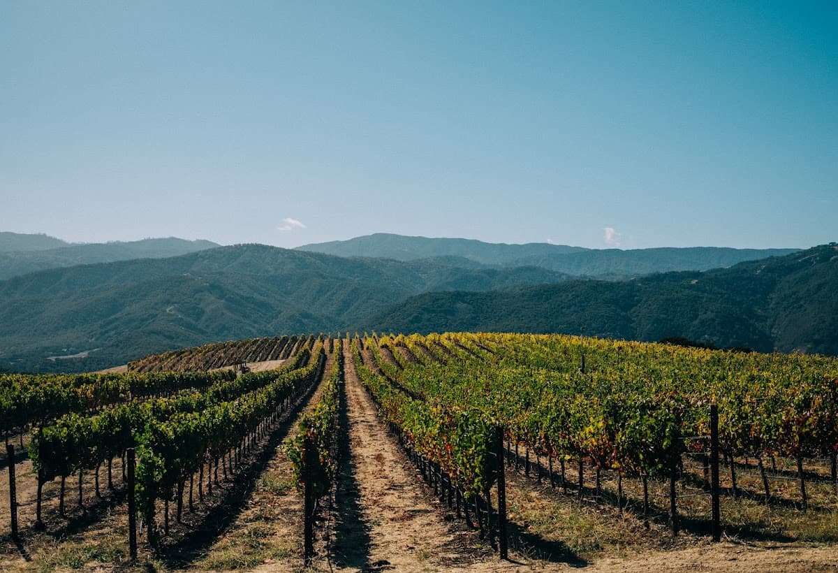 Holman Ranch: destination wedding venue in CA 93924, USA