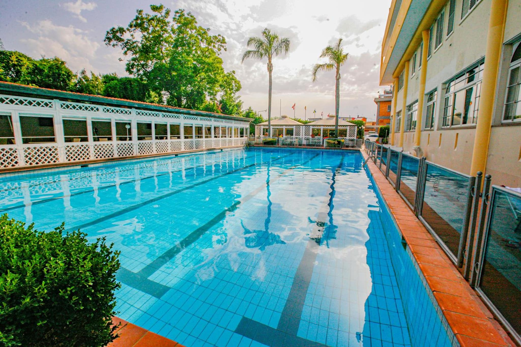 An outdoor tiled swimming pool bordered by a white lattice structure and tall palm trees under open skies.