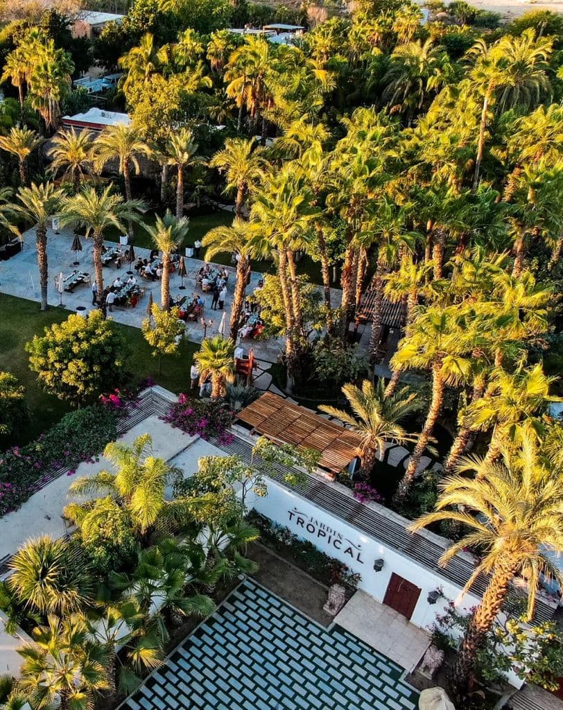Jardín Tropical: destination wedding venue in B.C.S., Mexico
