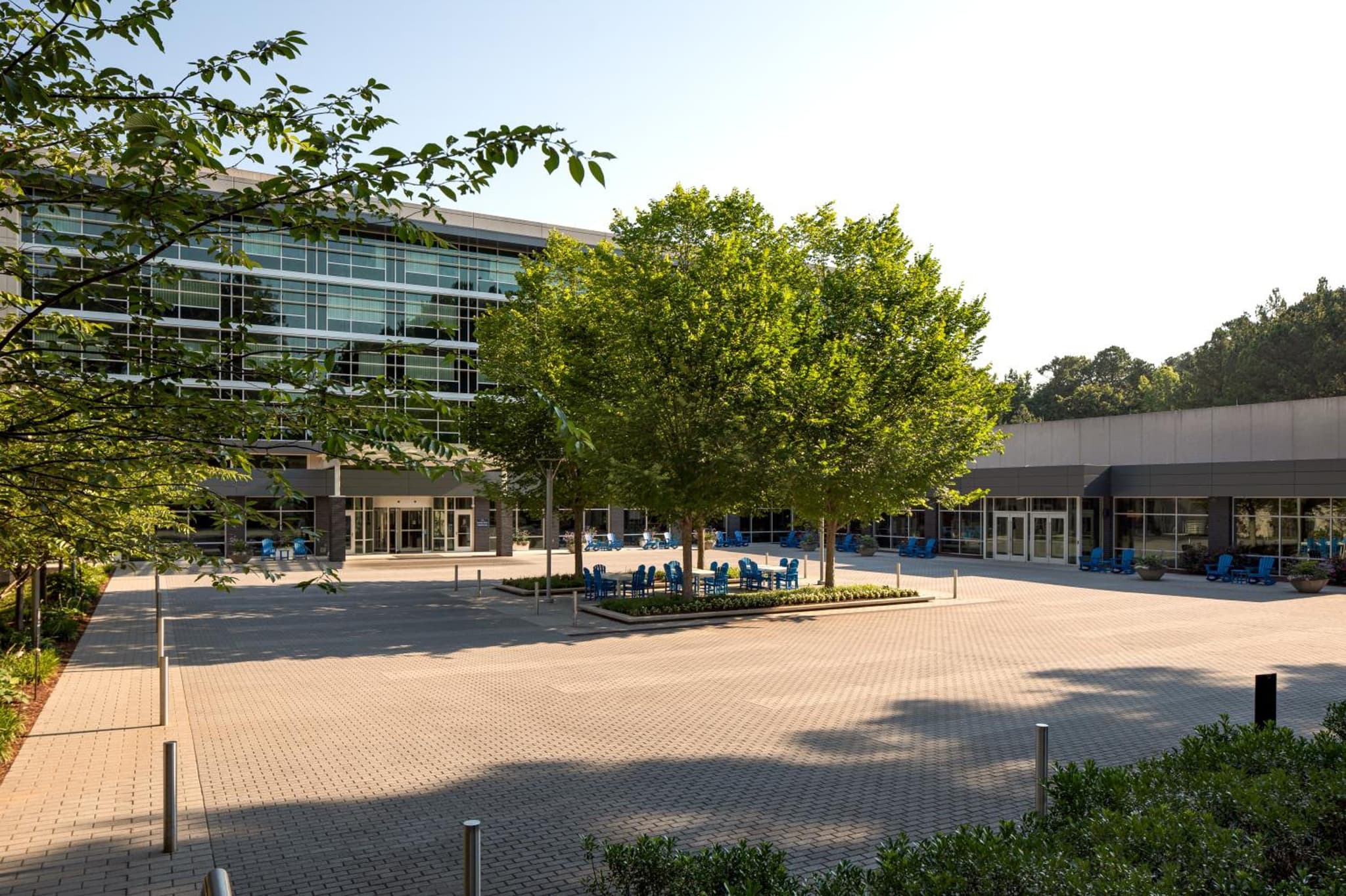 A wide paved courtyard with trees and blue chairs outside the contemporary glass and concrete facade in daylight.