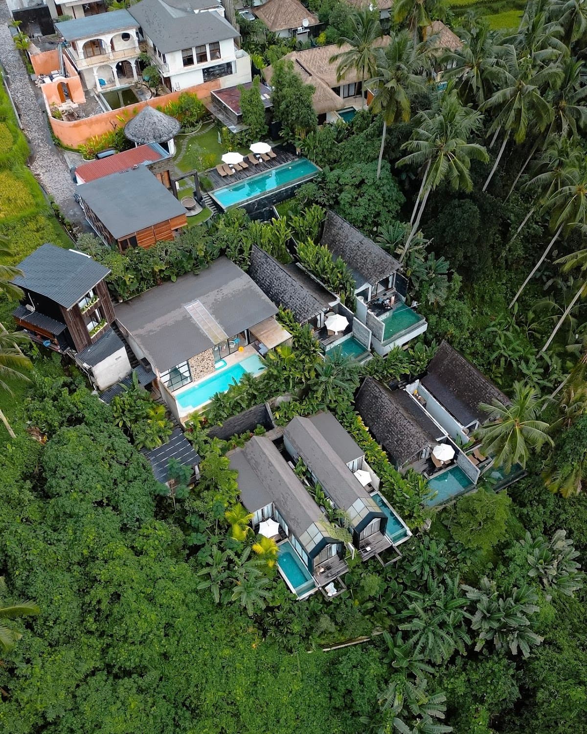 Jungle Resort: destination wedding venue in Bali 80552, Indonesia