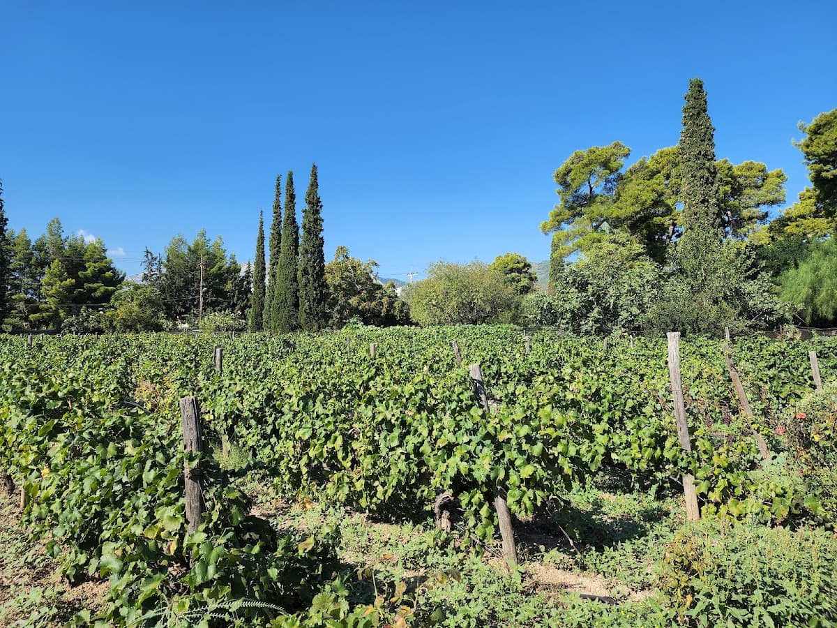 Matsa Estate — destination wedding venue in Leontario 153 51, Greece