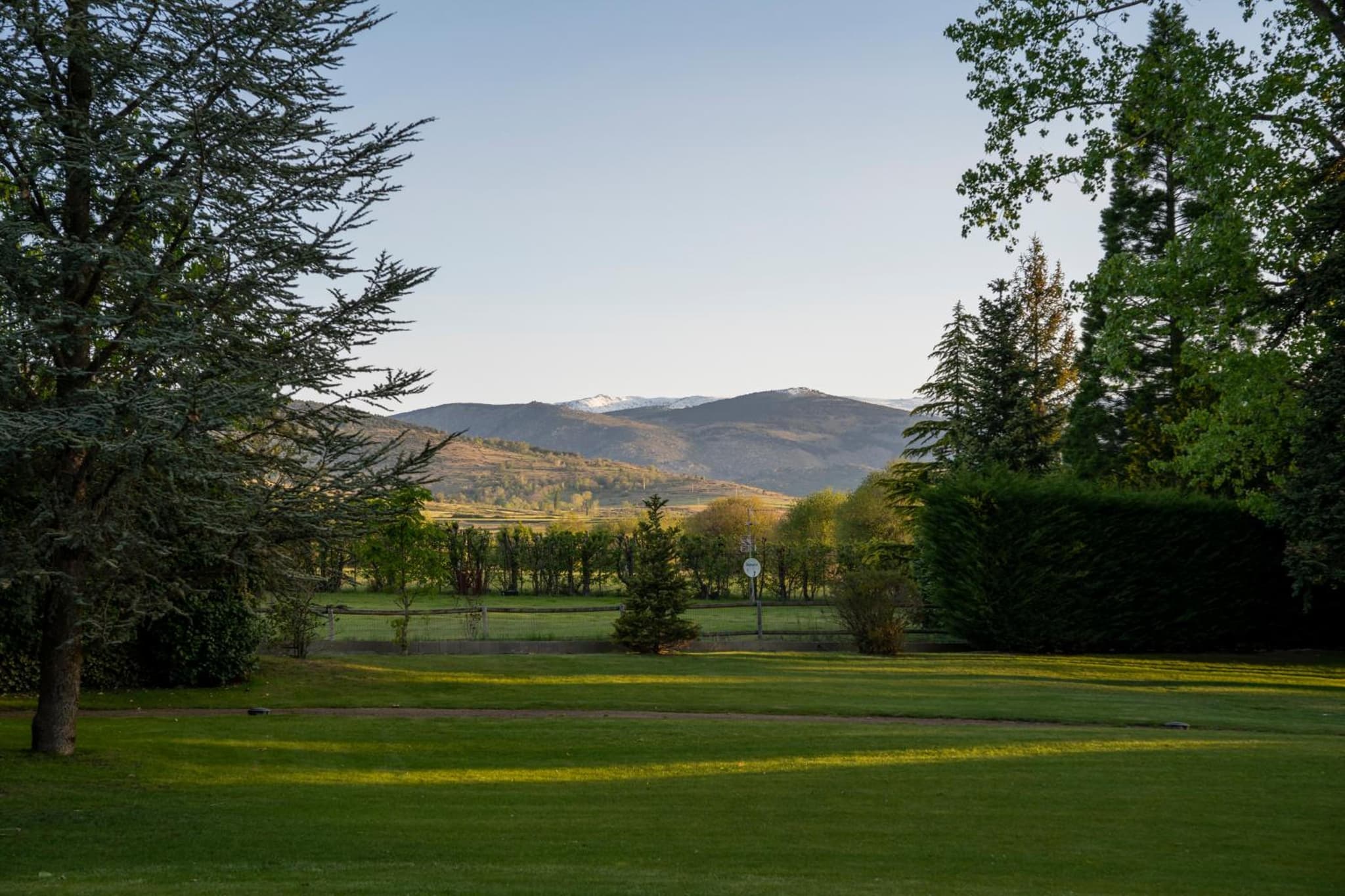 Mowed lawn framed by tall evergreen trees looking out toward distant mountains in soft daylight.