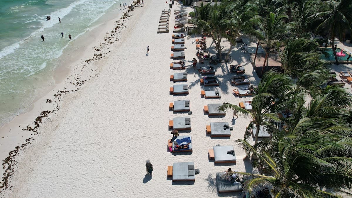 TULUMANIA BEACH CLUB: destination wedding venue in Q.R., Mexico