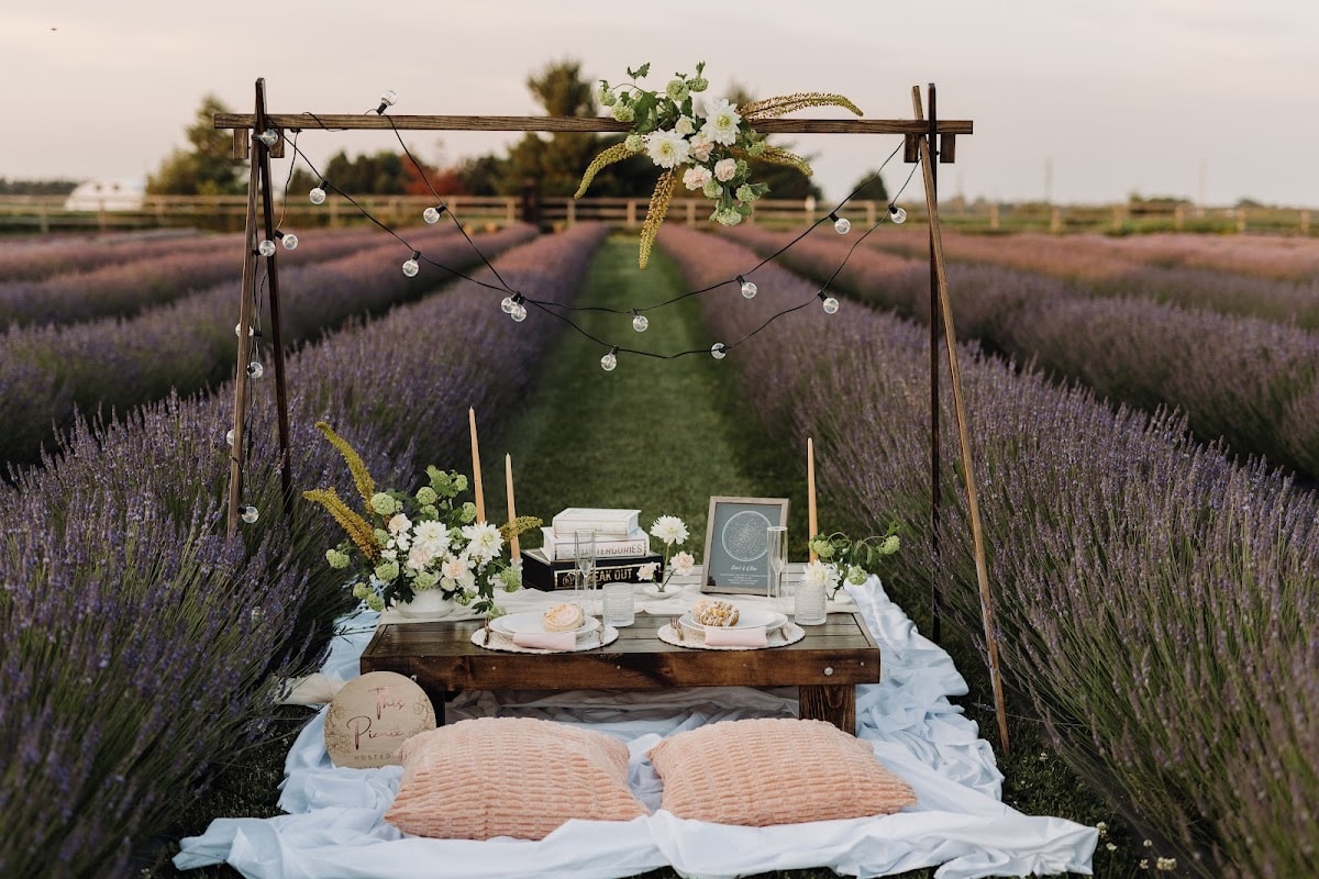 Auréa Event Co. — wedding planner in ON L5M 2C9, Canada