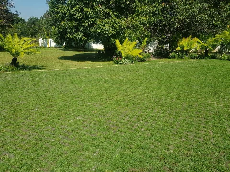 ม่านฟ้าเวียงพิงค์ — wedding planner in Chiang Mai