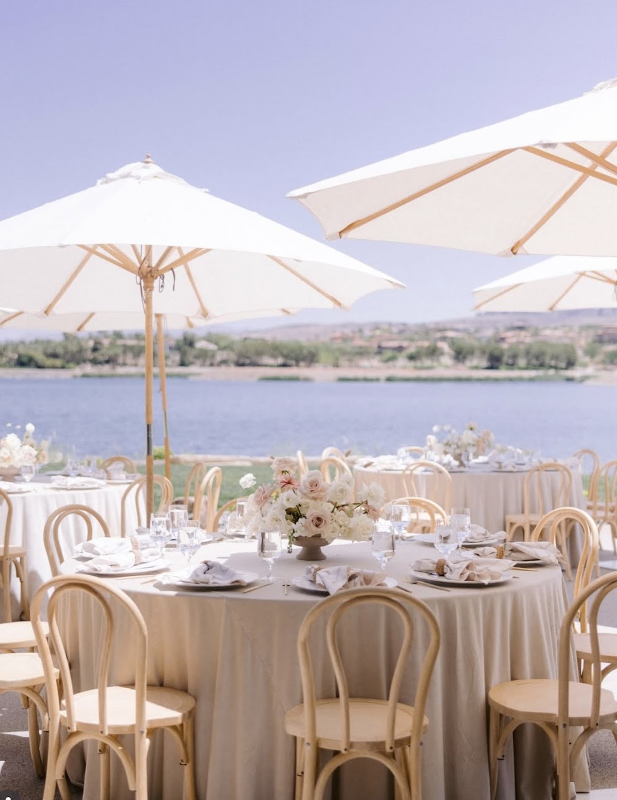 RSVP Party Rentals — wedding rentals_decor in Las Vegas