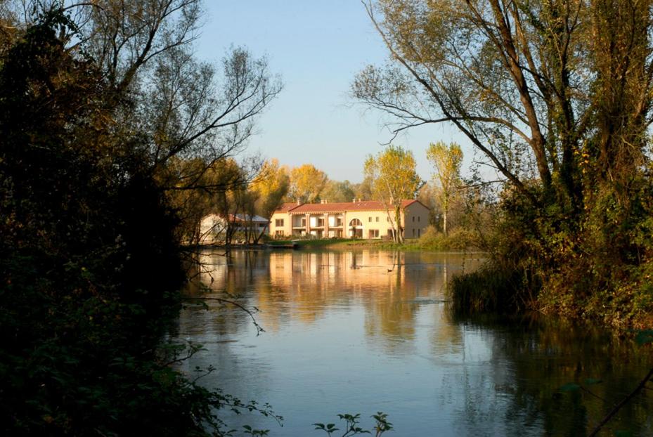 A view across the river toward the Ca' del Sile facade framed by tall trees in warm sunlight.