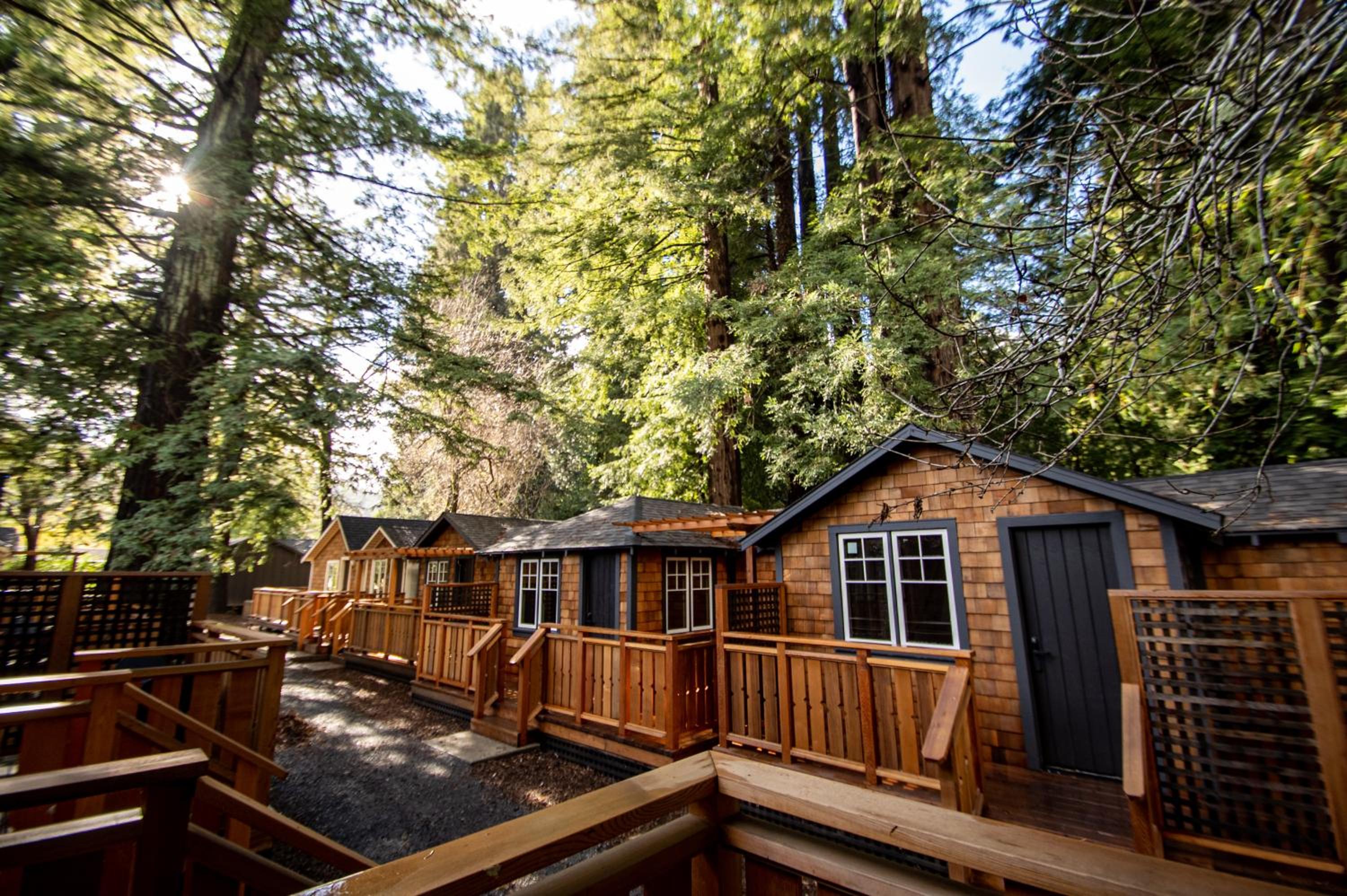 Cedar shake cabins with private porches stand along a gravel pathway surrounded by tall redwood trees.