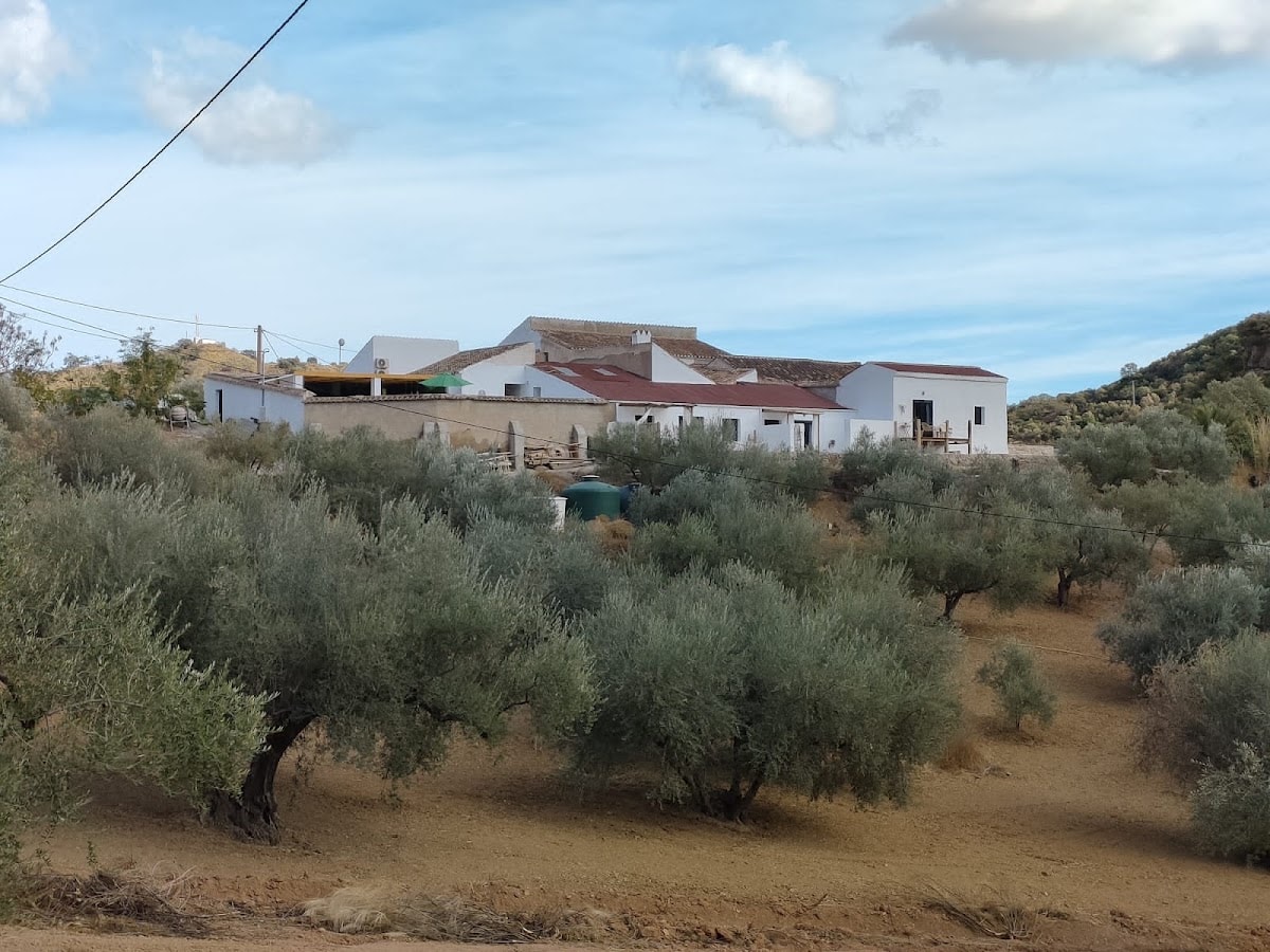 Finca Elements, destination wedding venue in Málaga, Spain