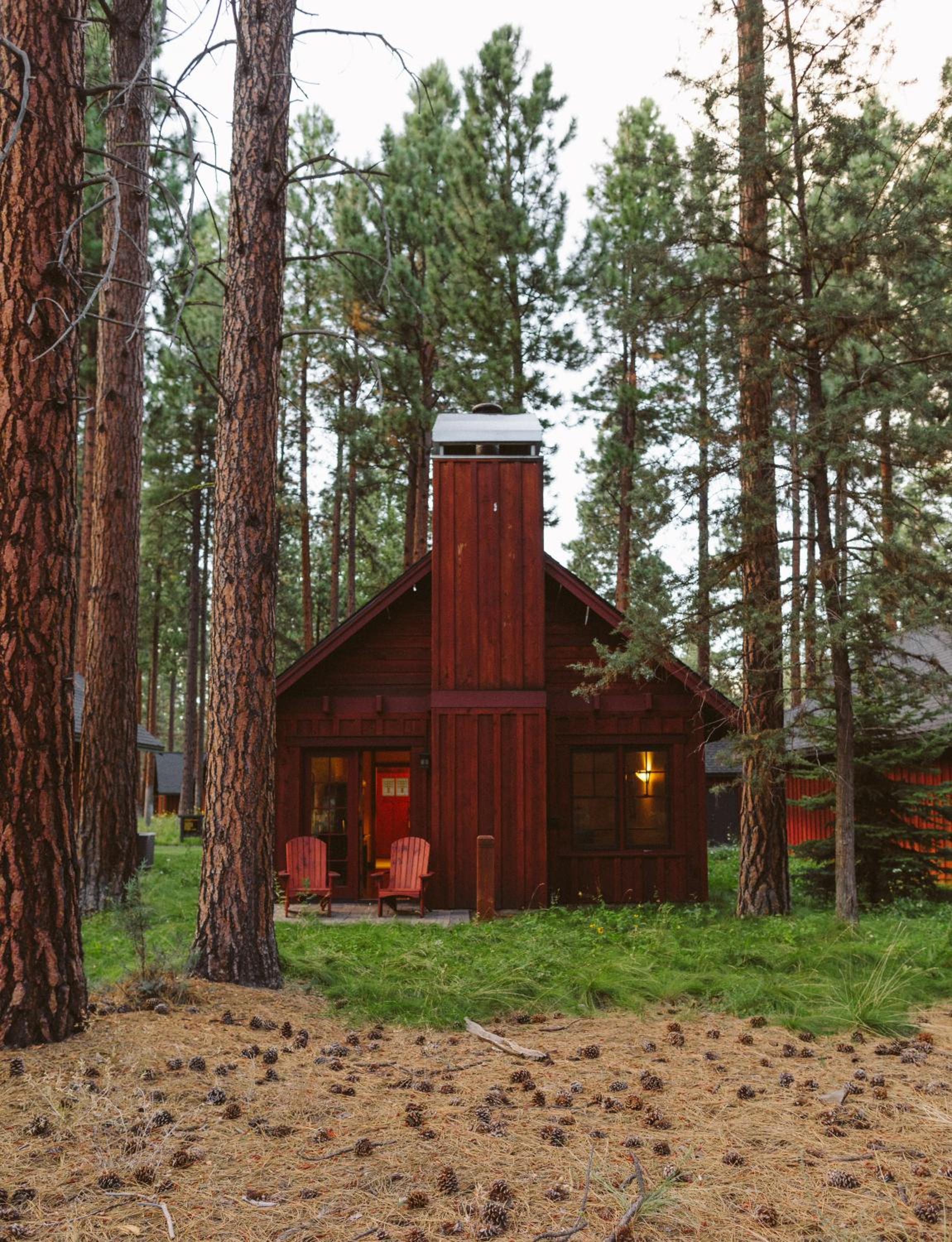 A dark wood cabin with a tall central chimney and red chairs outside, surrounded by towering pine trees.