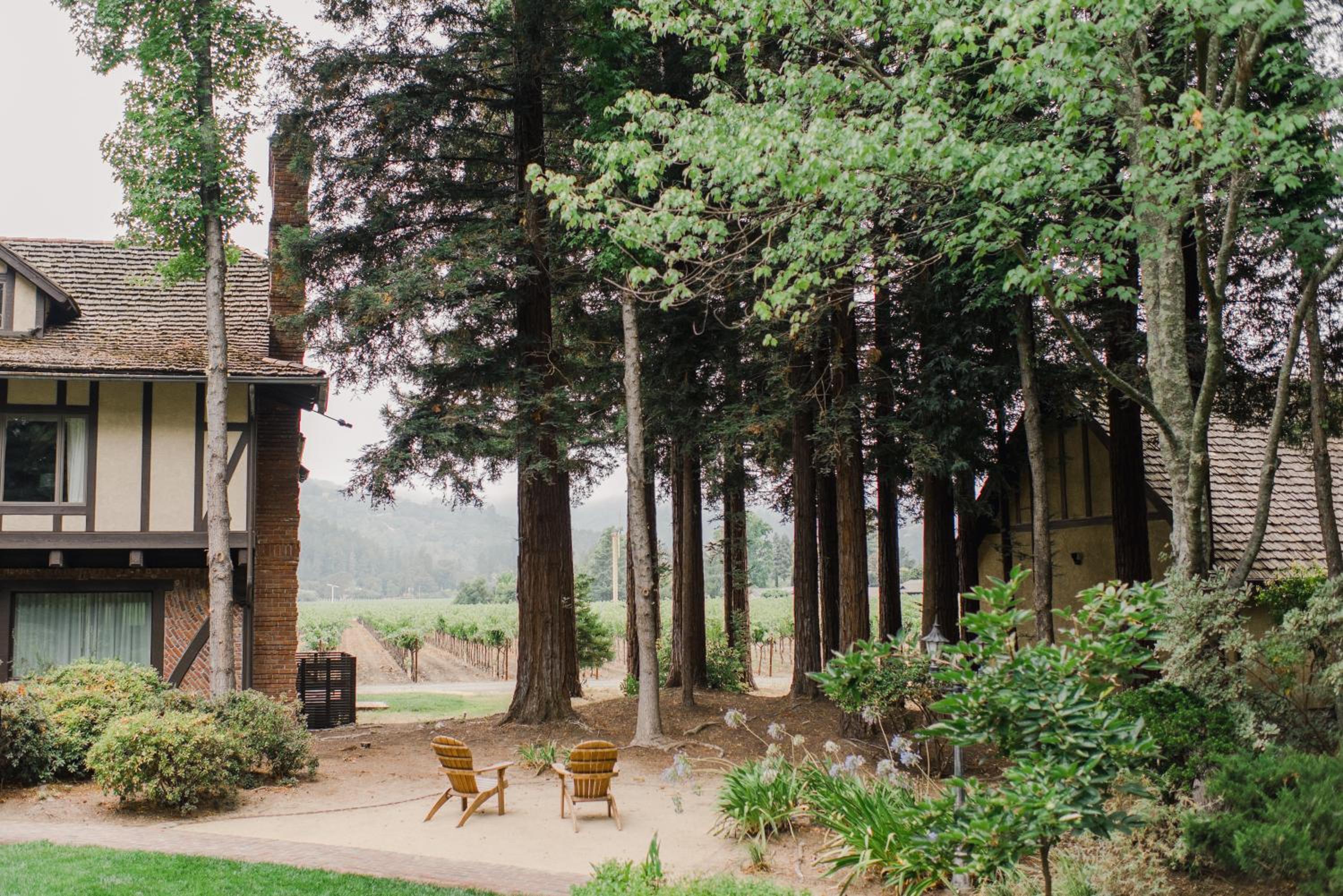 Wooden Adirondack chairs rest on a clearing between tall redwoods and a Tudor-style brick building facing vineyards.