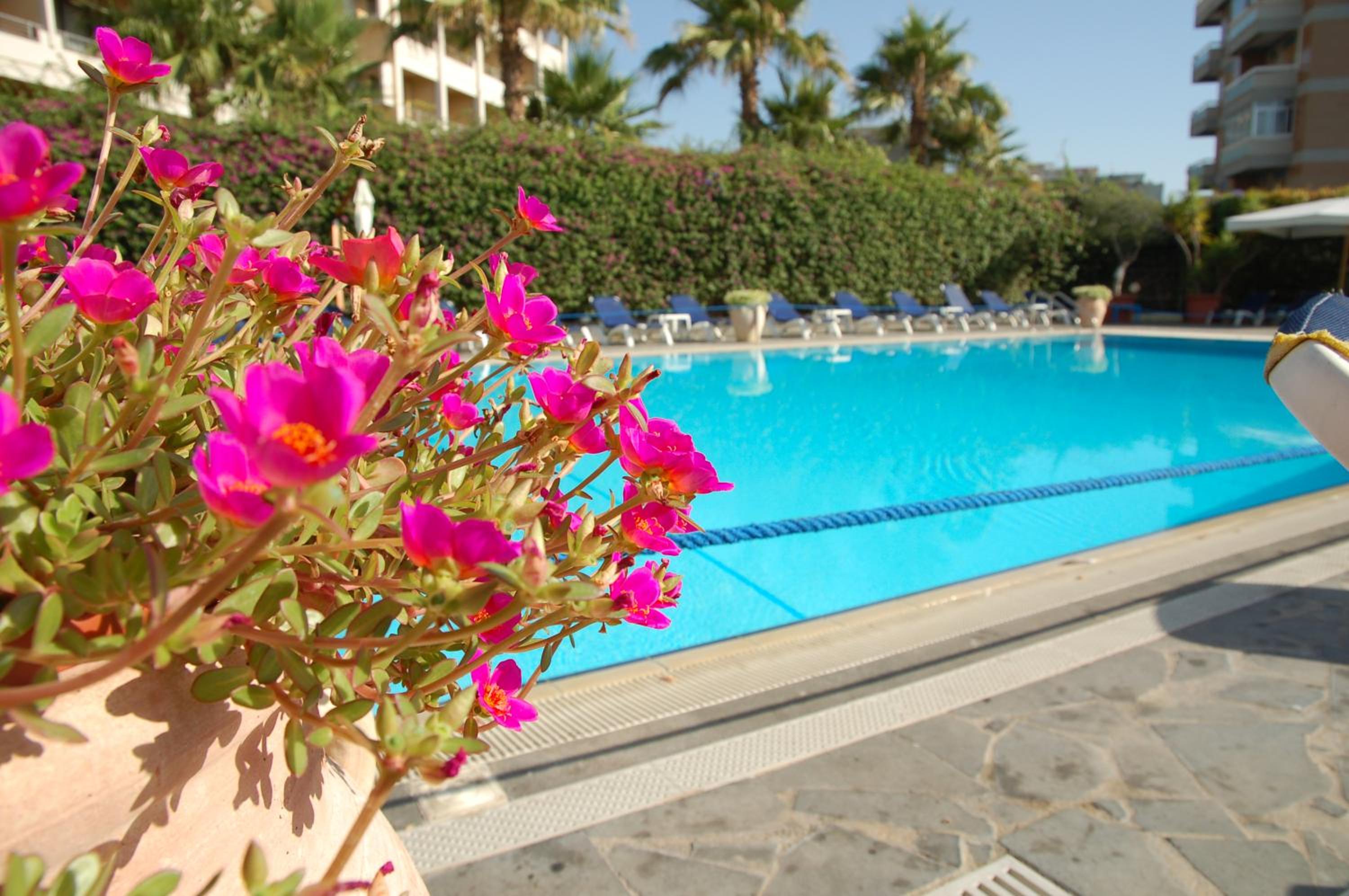 Pink flowers in a planter beside a clear blue swimming pool with lounge chairs along the paved edge.