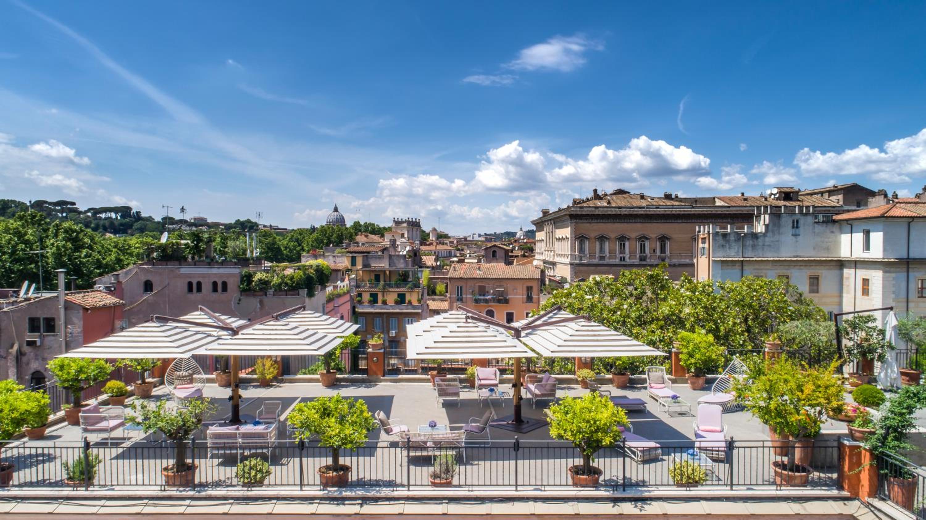 A sunlit rooftop terrace with umbrellas, lounge chairs, and potted citrus trees overlooking city rooftops.
