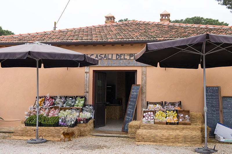 I Casali del Pino — destination wedding venue in 00123 Roma RM, Italy