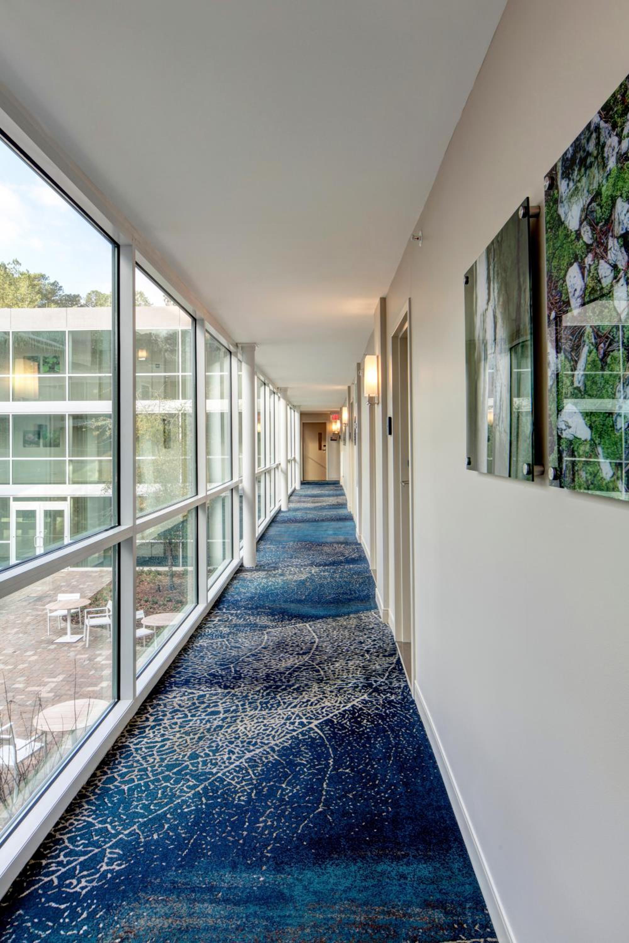 A long hotel hallway featuring floor-to-ceiling glass windows and blue patterned carpeting.