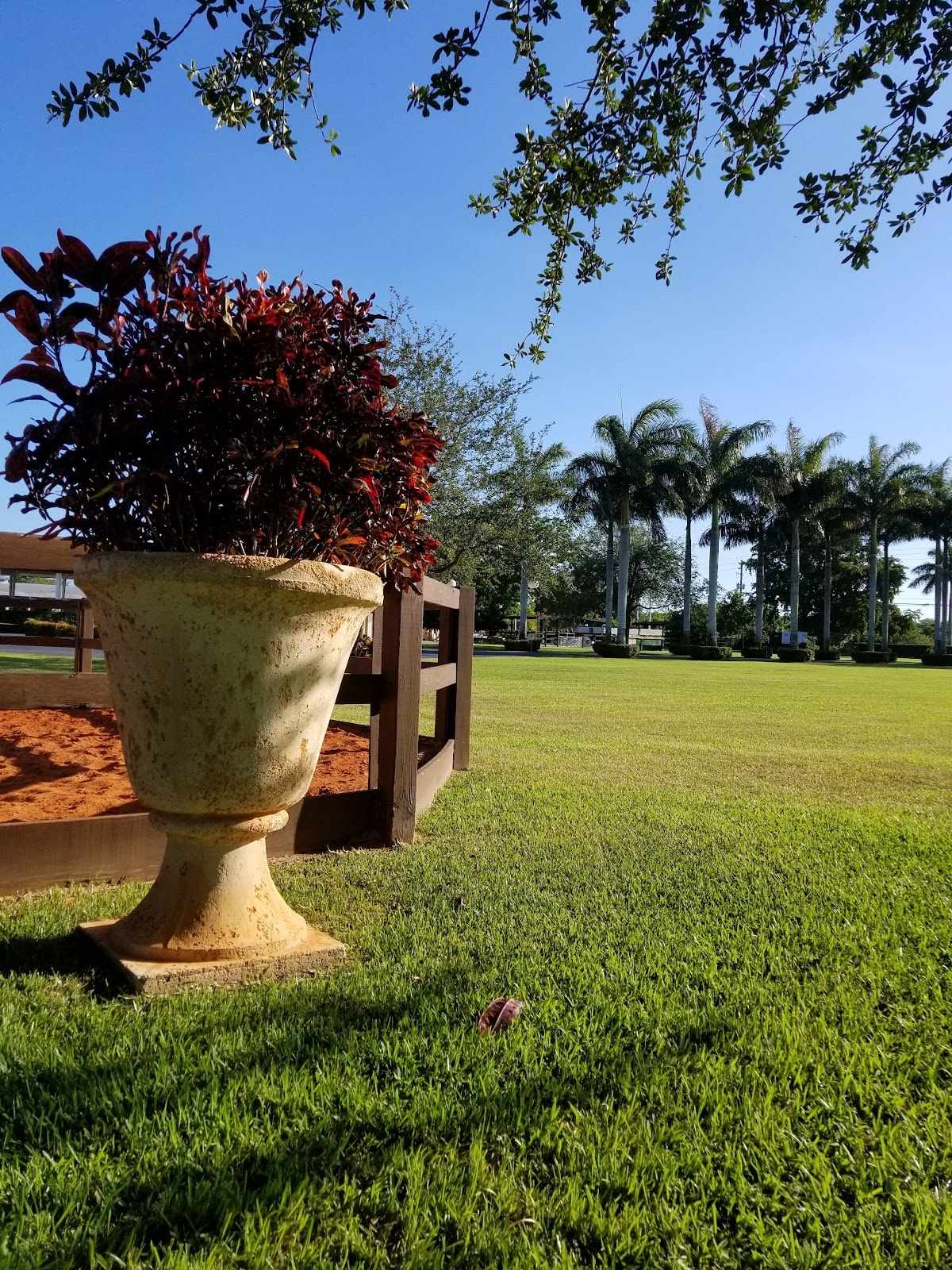 La Arboleda Ranch, destination wedding venue in FL 33183, USA