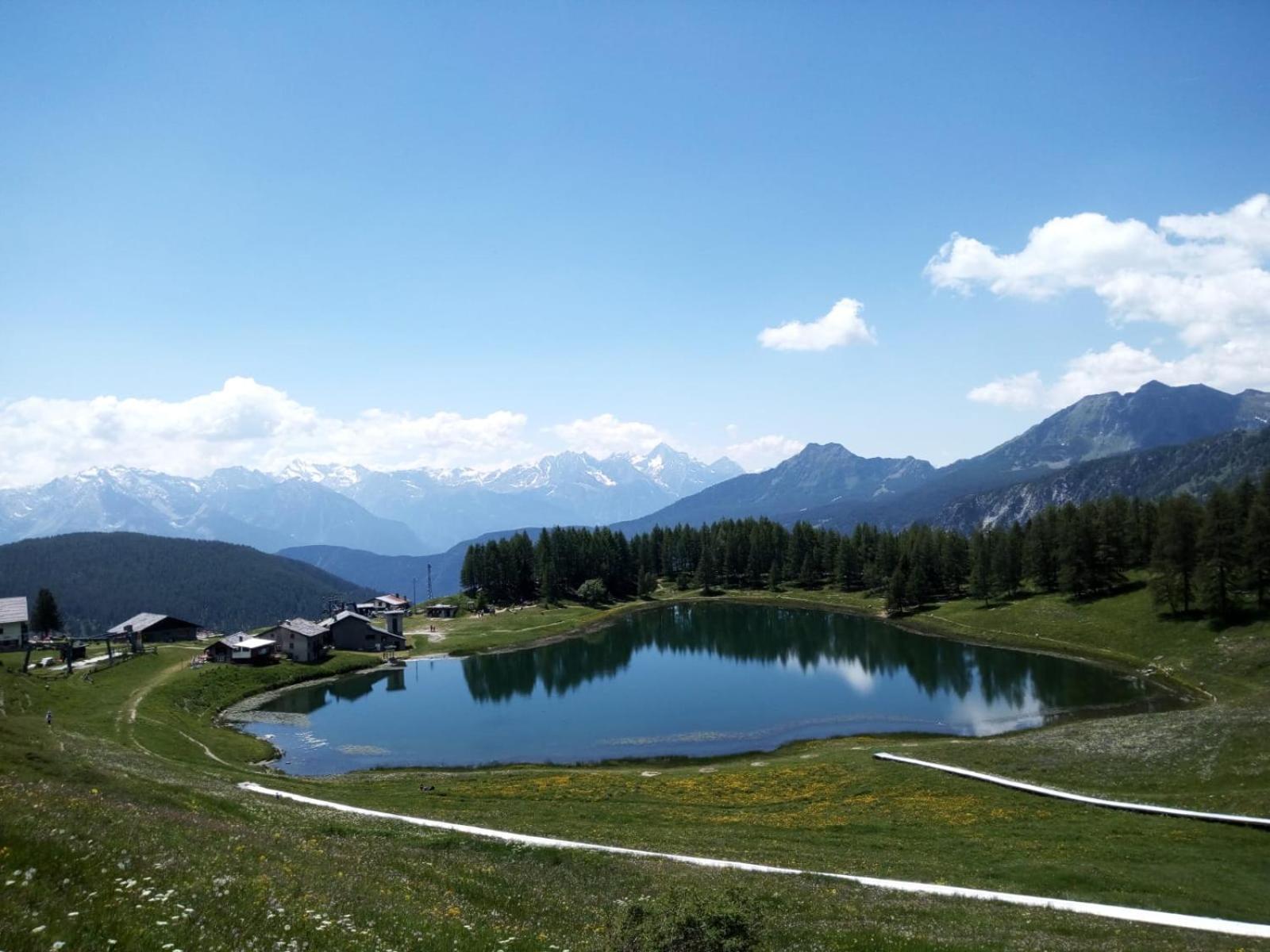 A clear alpine lake reflects surrounding pines and grassy slopes against distant mountain peaks.