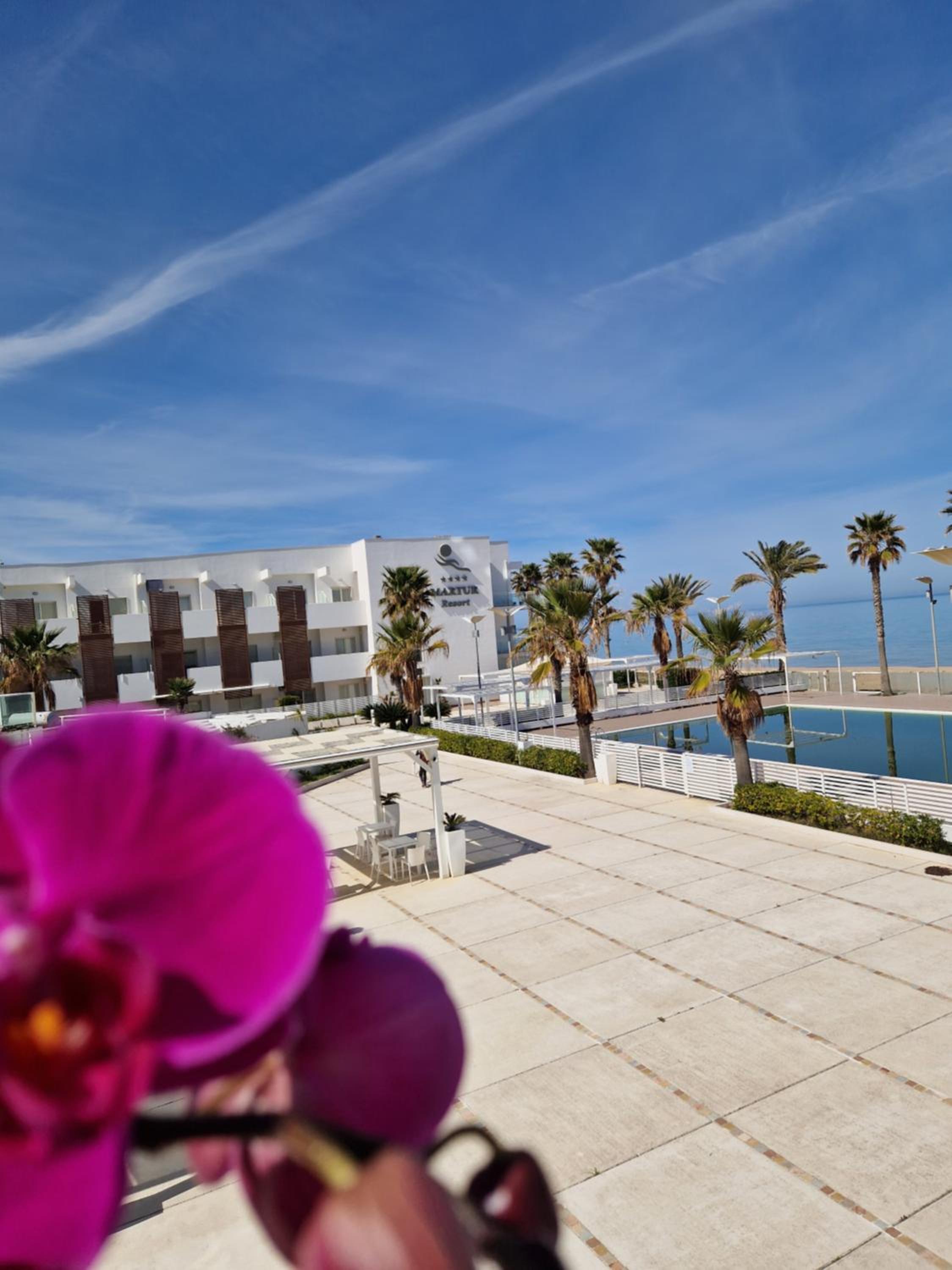 A paved courtyard, pool, and palm trees beside the Martur Resort facade and sea, framed by a purple orchid.