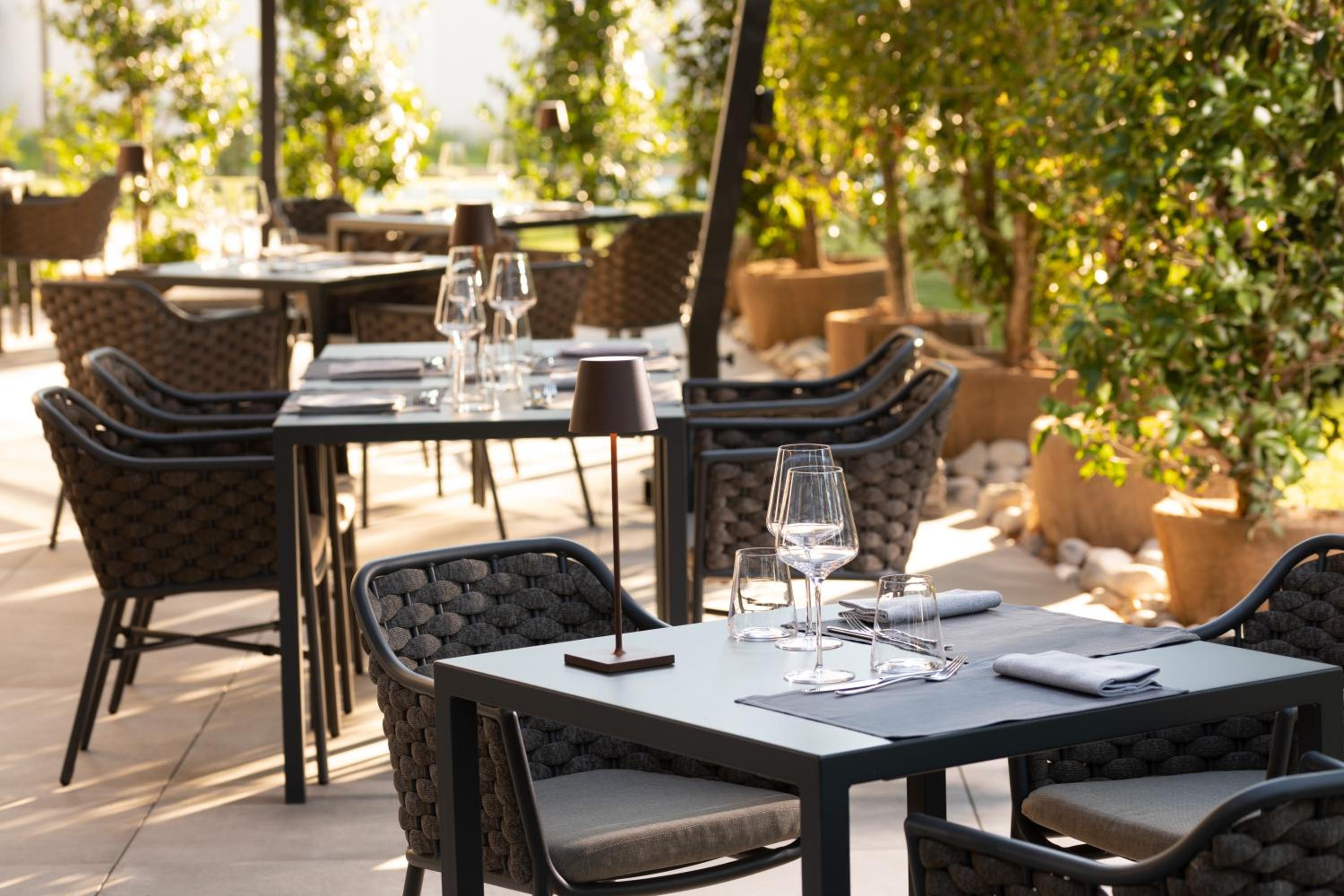 An outdoor dining terrace with dark tables, woven chairs, and sunlit potted trees.