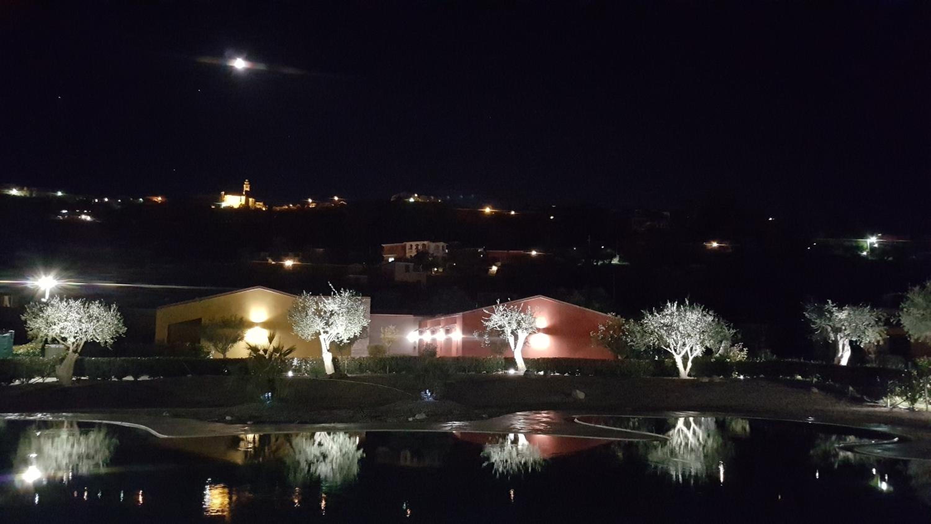 Night view across a reflective pool toward illuminated olive trees and low buildings under a dark sky.