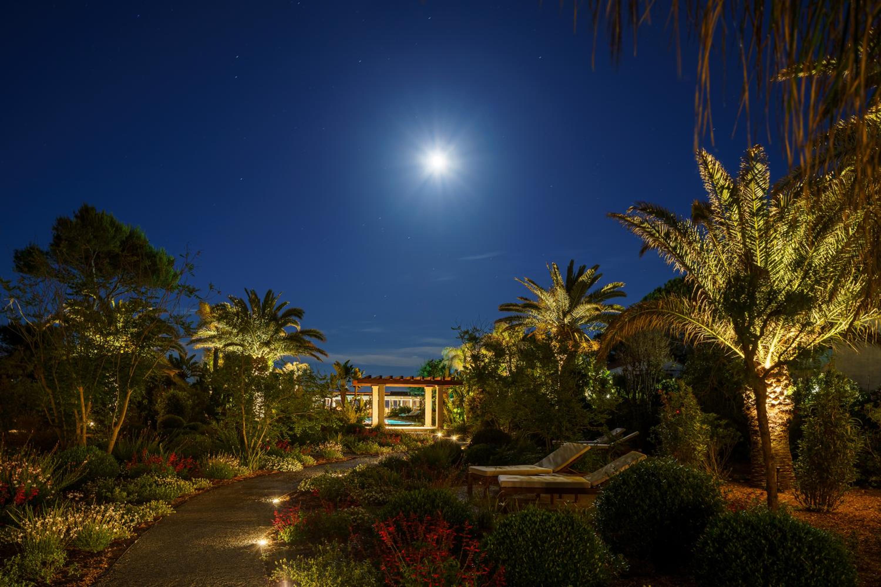 A stone pathway through illuminated palm trees and flowering garden shrubs beneath a bright night moon.