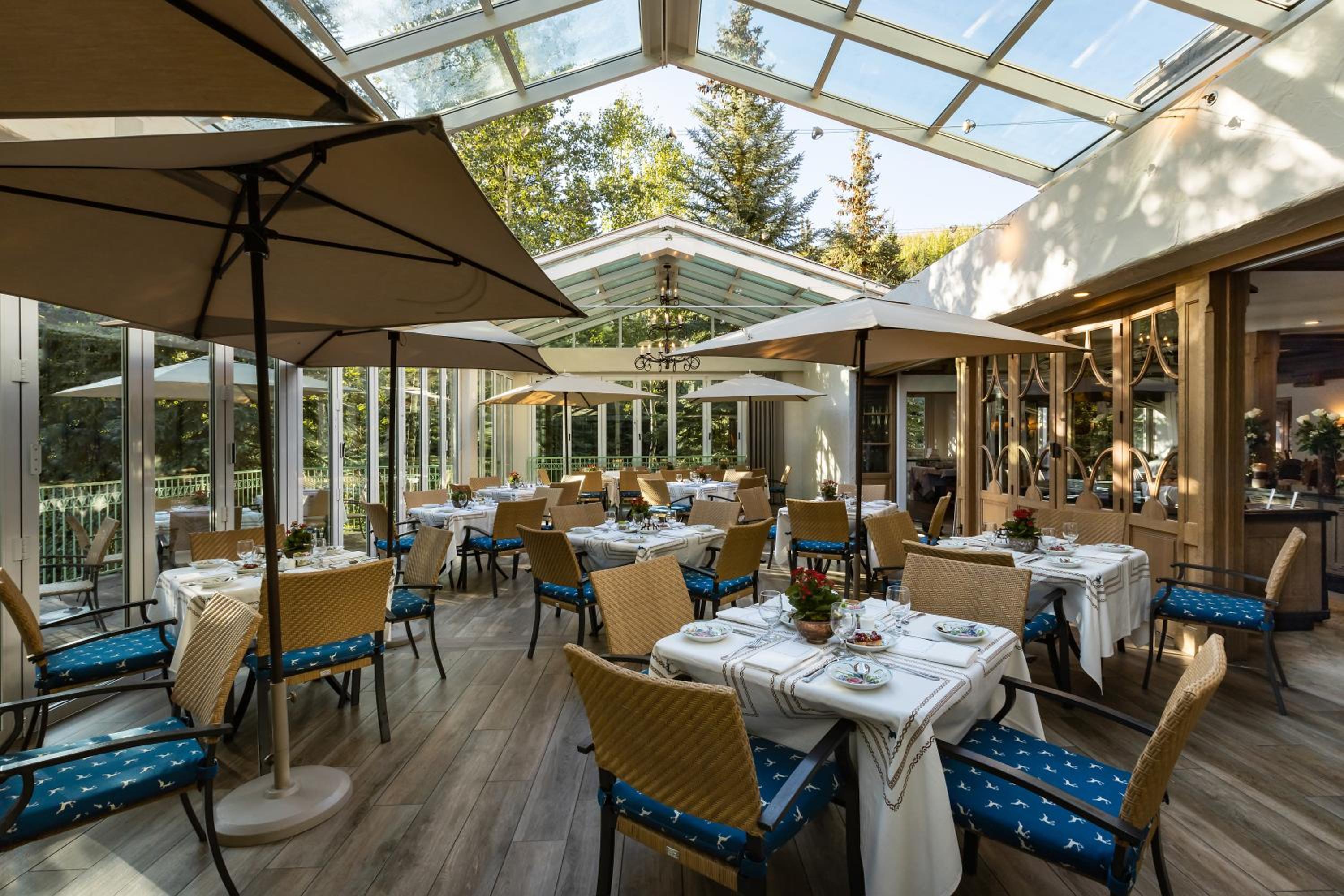 Sunlit dining room beneath a peaked glass ceiling, with set tables and umbrellas facing pine trees.