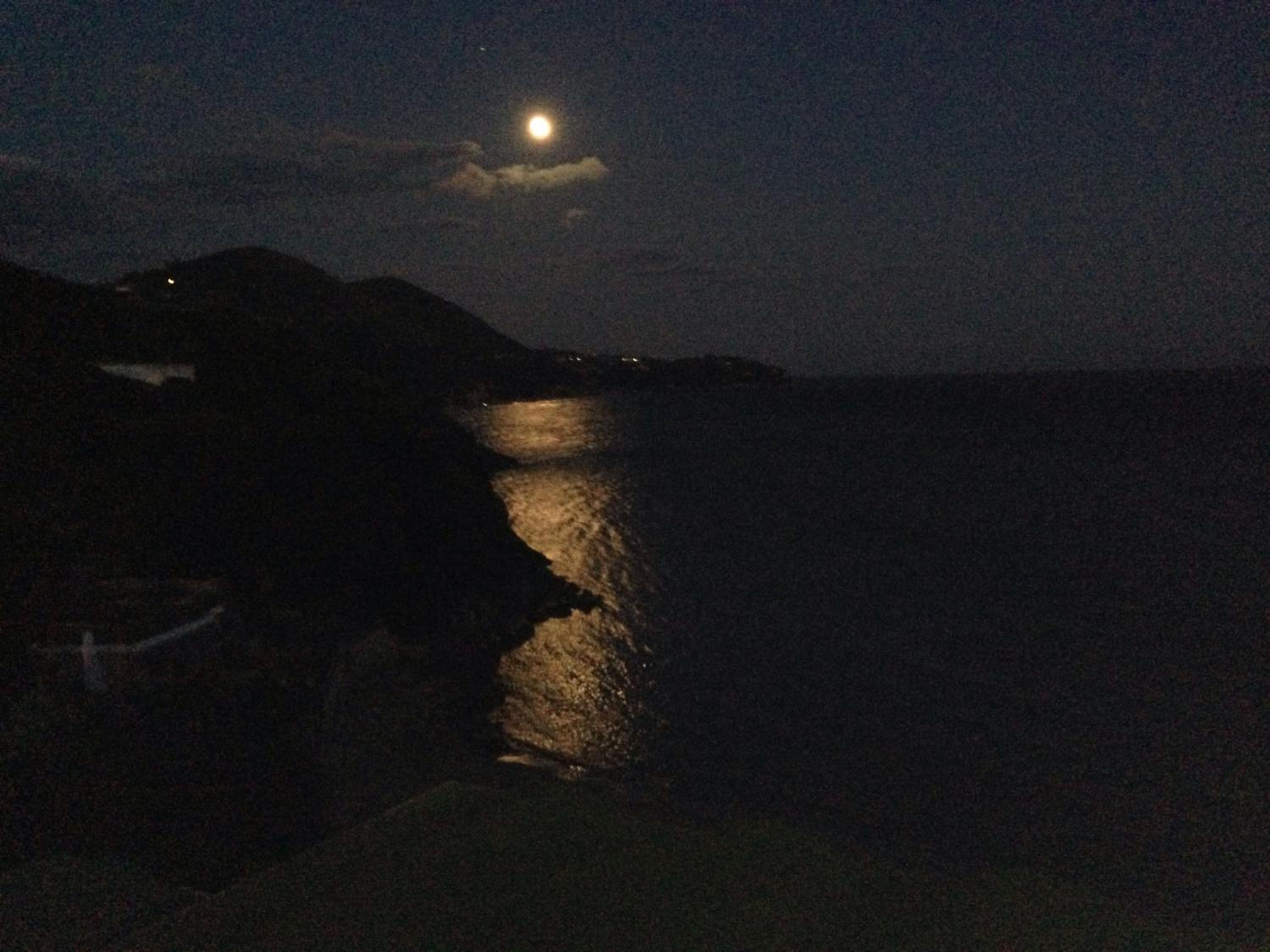 The moon shines over dark sea waters, casting a reflection along a shadowed coastline at night.