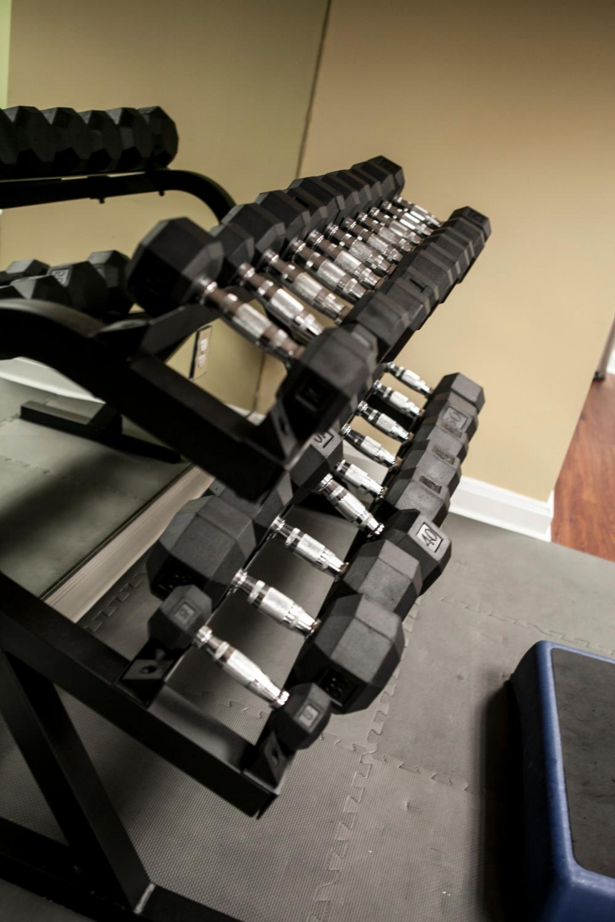 Rows of black dumbbells arranged on a metal rack inside a fitness room.