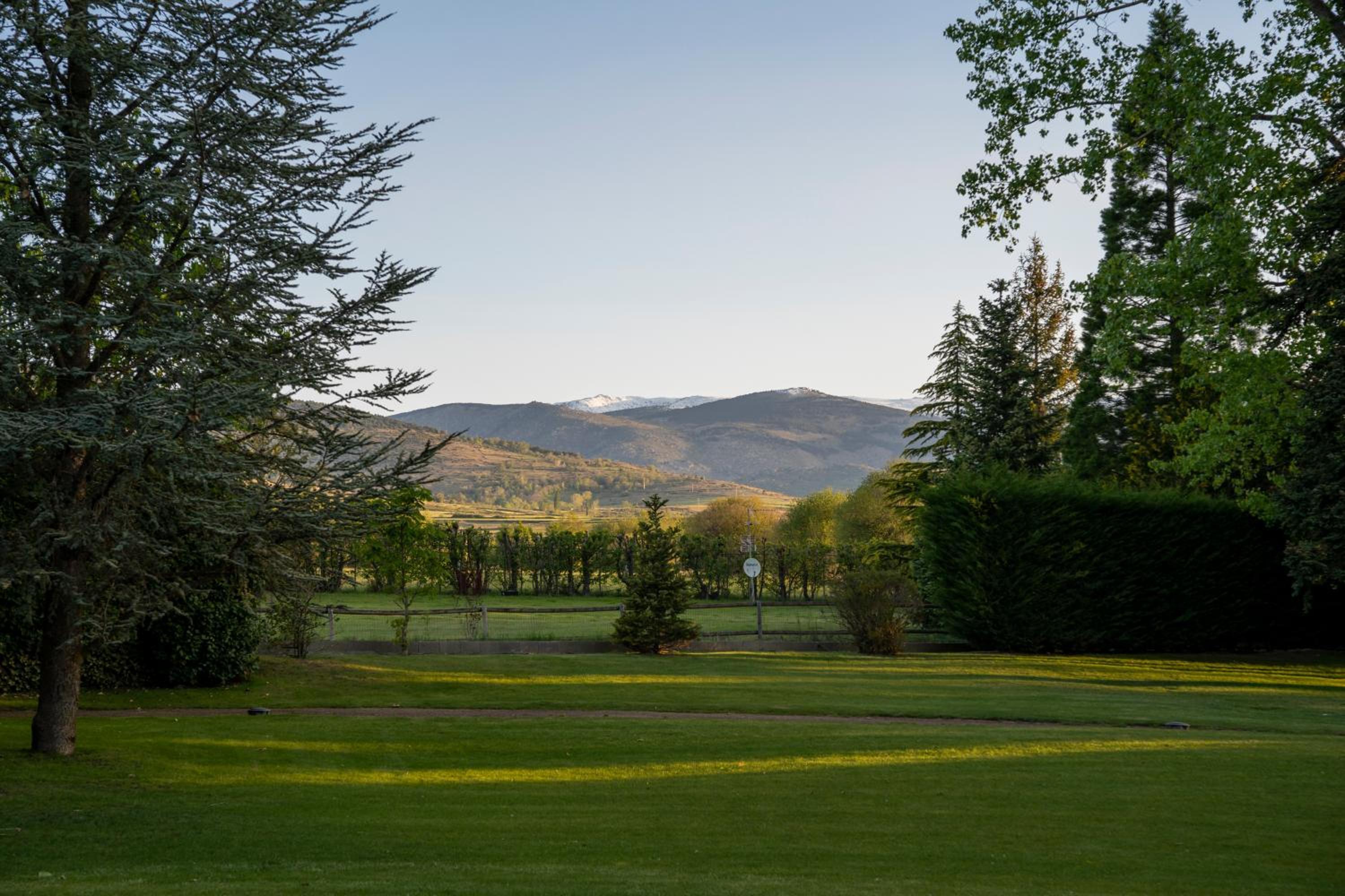 Mowed lawn framed by tall evergreen trees looking out toward distant mountains in soft daylight.