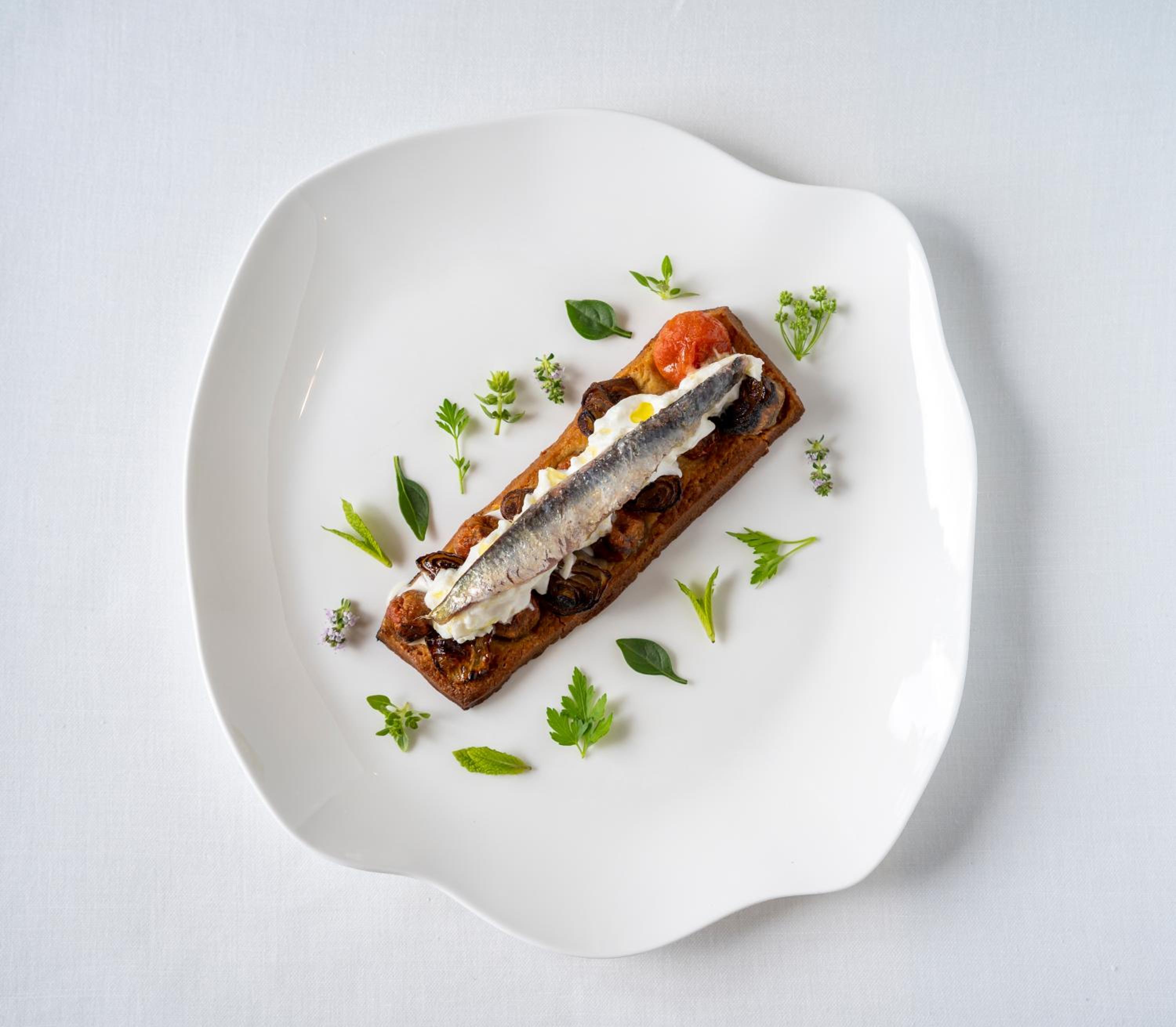 Toasted bread topped with cream, roasted toppings, and a sardine, garnished with herbs on a white plate.