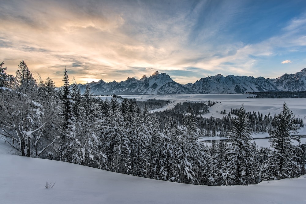 Snow-covered evergreen trees overlook a frozen river plain and distant mountain peaks under a soft sky.