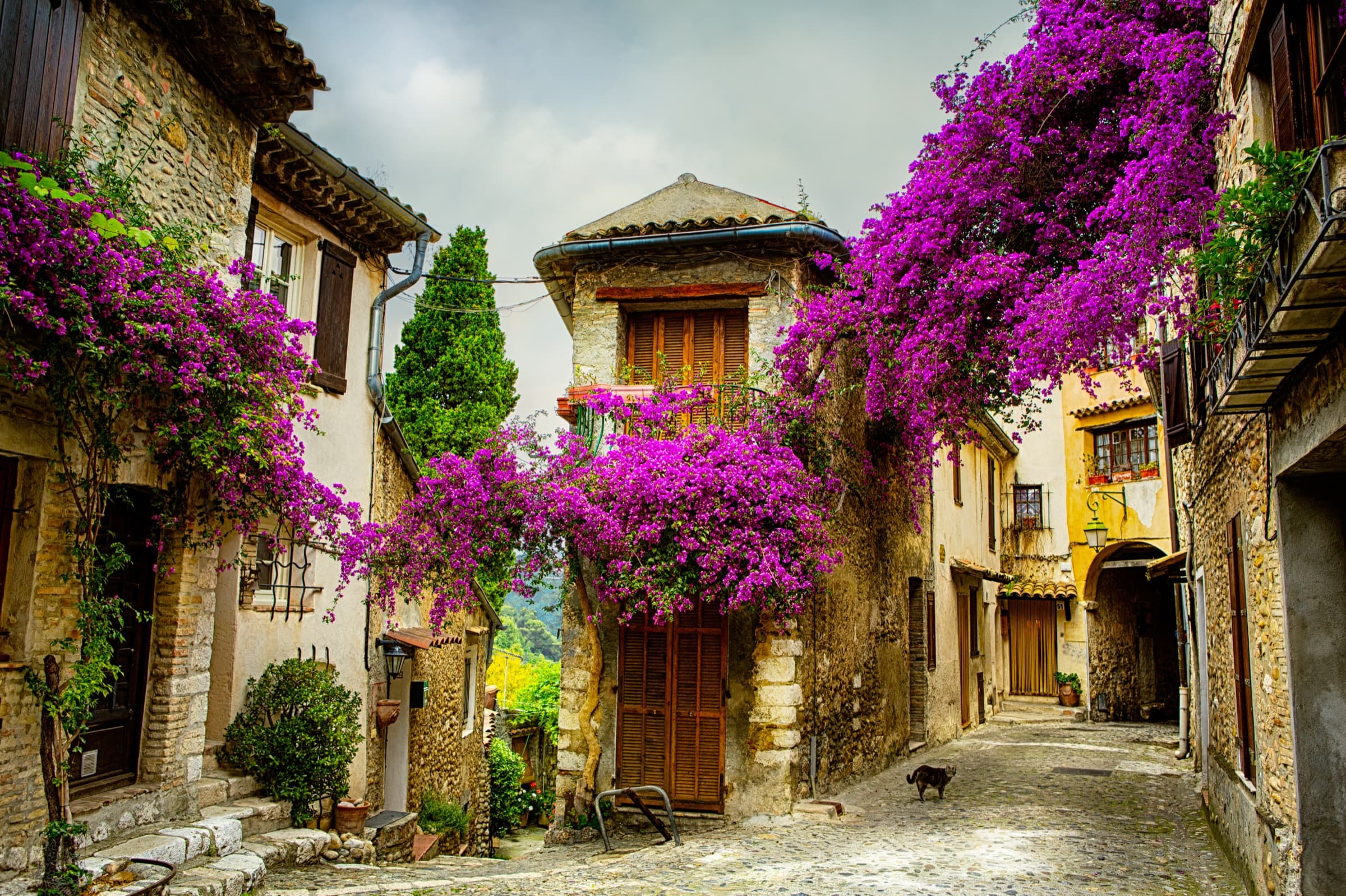 Provence, France, lavender fields and warm-toned stone architecture.