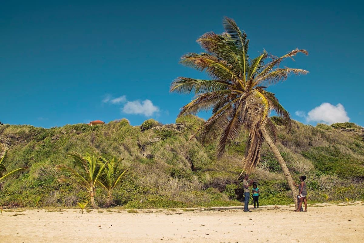 13 Degrees North: wedding videographer in Barbados
