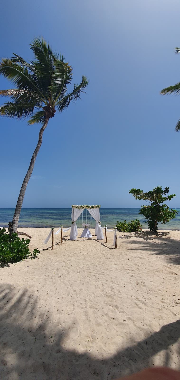 Buena Vista Beach, wedding planner in Punta Cana