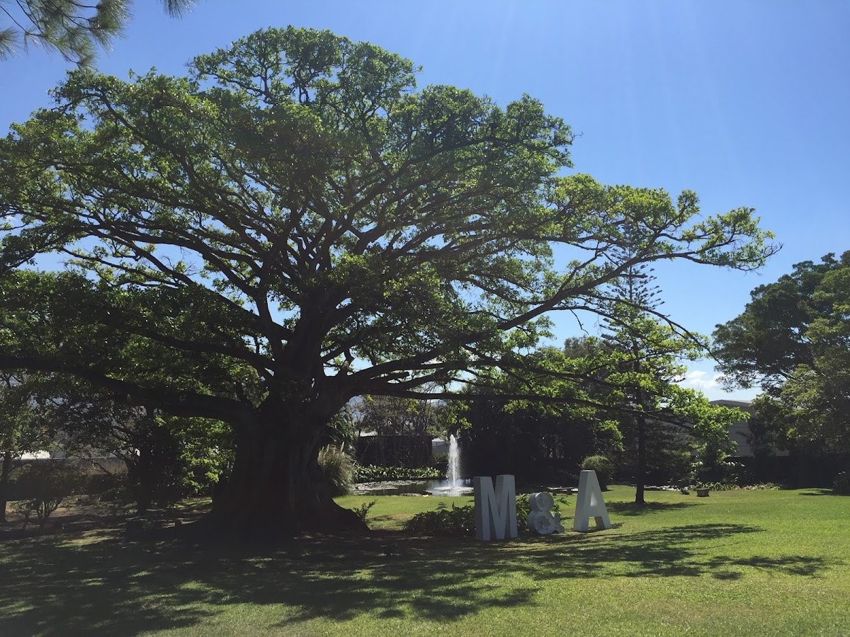 Campo Lago — wedding planner in Costa Rica