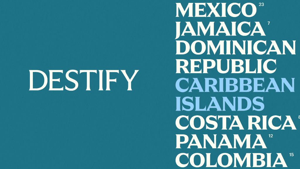 Destify | Destination Wedding Specialists — wedding planner in Chicago, USA