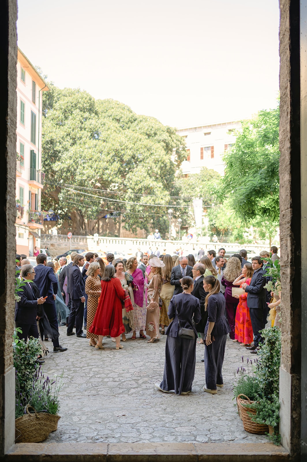Diomedea Group l Wedding Planner Mallorca — wedding planner in Illes Balears, Spain