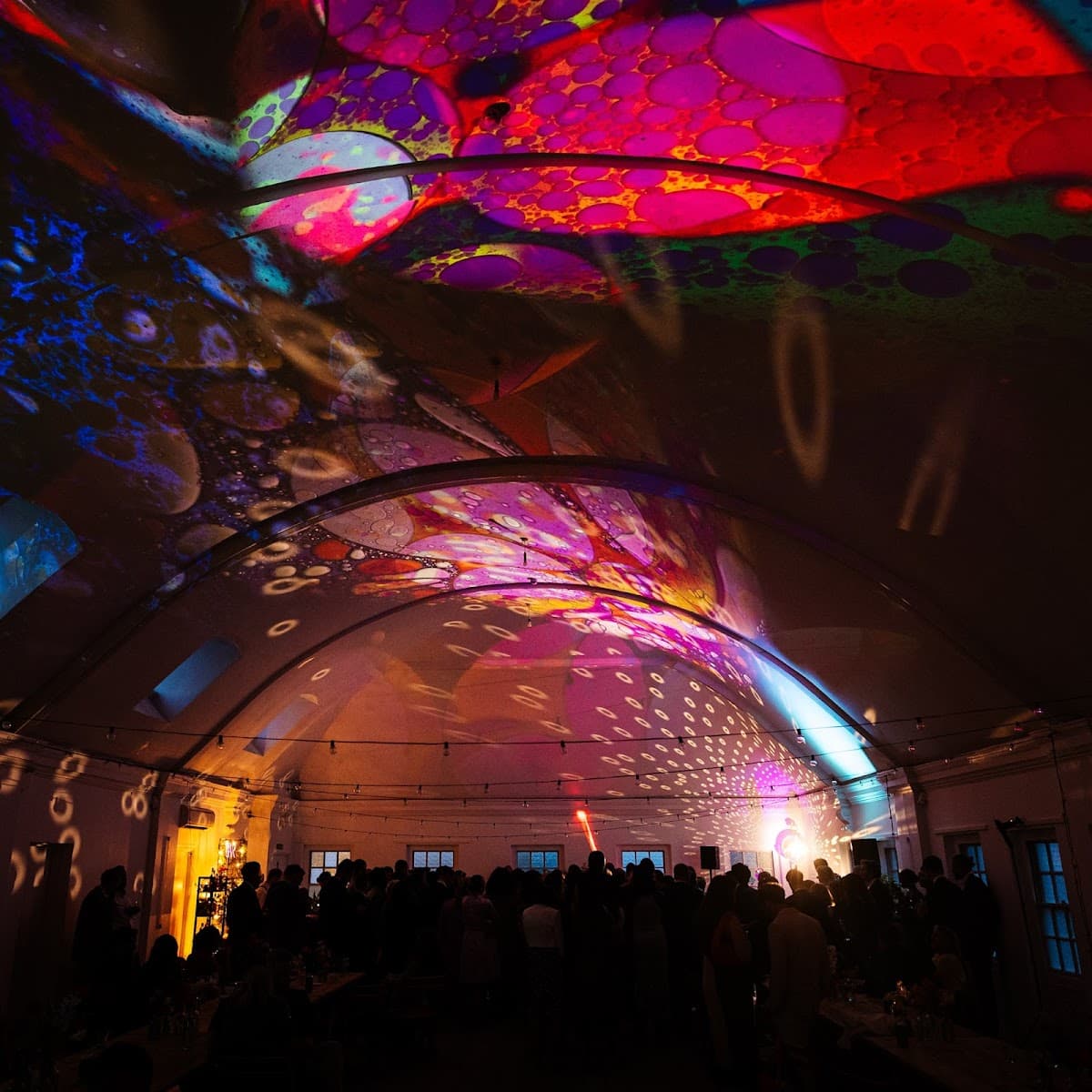 Dita Rosted Events - London Event & Wedding Design Studio + Event Bars — wedding planner in London SE27 9DQ, UK