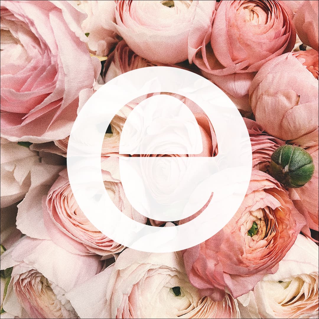 Evenio Weddings & Events — wedding planner in Melbourne
