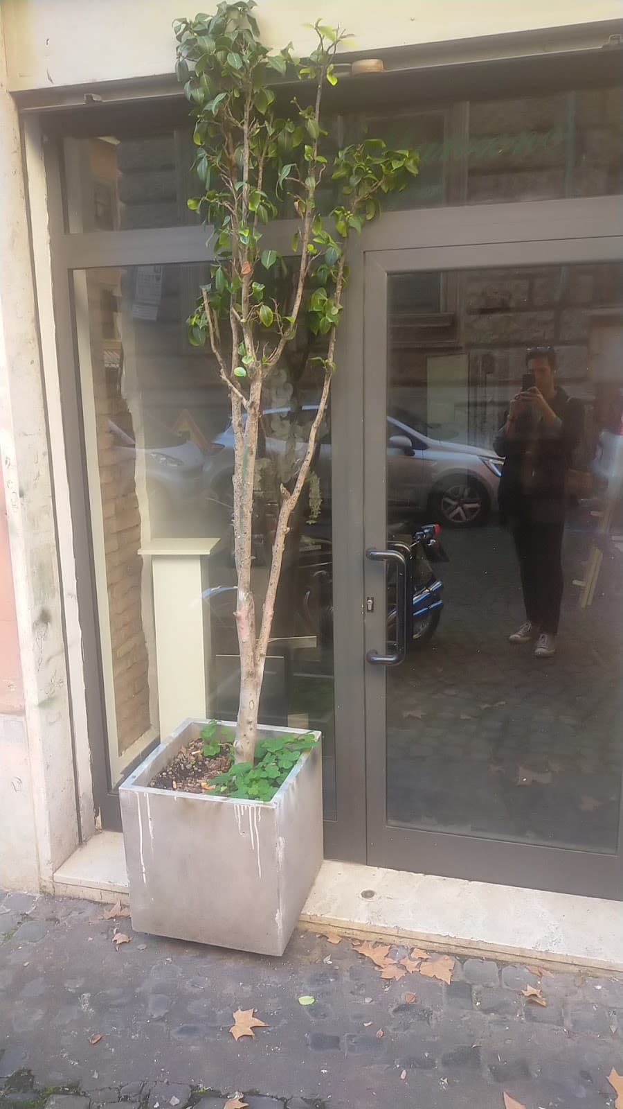 Flower Designer Augusto Manzone Roma — wedding florist in Rome